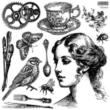 Load image into Gallery viewer, Charlotte - IOD Stamp
