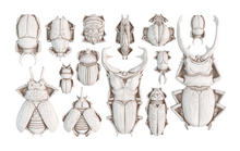 Load image into Gallery viewer, Specimens - IOD Mould
