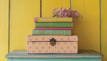 Load image into Gallery viewer, DITSY BLOOMS - IOD Paint Inlay
