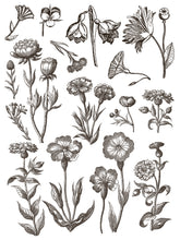 Load image into Gallery viewer, FLORIOGRAPHY - IOD Paint Inlay
