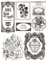 Load image into Gallery viewer, FLORIOGRAPHY - IOD Paint Inlay
