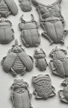 Load image into Gallery viewer, Specimens - IOD Mould

