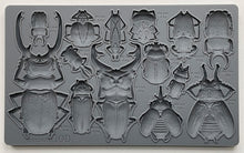 Load image into Gallery viewer, Specimens - IOD Mould
