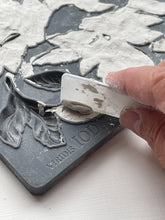 Load image into Gallery viewer, Viridis - IOD Mould
