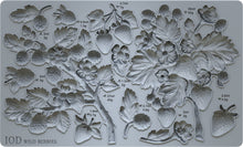Load image into Gallery viewer, Wild Berries - IOD Mould
