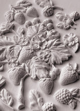 Load image into Gallery viewer, Wild Berries - IOD Mould
