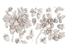 Load image into Gallery viewer, Wild Berries - IOD Mould
