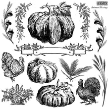 Load image into Gallery viewer, Autumn Blessings - IOD Stamp
