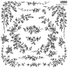 Load image into Gallery viewer, Brambles &amp; Berries - IOD Stamp
