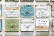 Load image into Gallery viewer, Ephemeral Type - IOD Stamp
