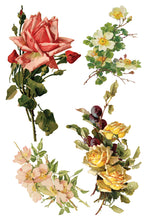 Load image into Gallery viewer, CATHARINA (8 pages) - IOD Transfer Pad
