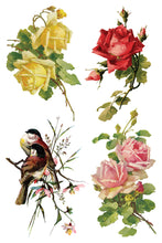 Load image into Gallery viewer, CATHARINA (8 pages) - IOD Transfer Pad
