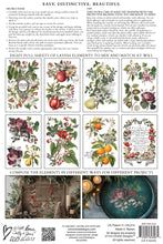 Load image into Gallery viewer, Clementine (8 pages) - IOD Transfer Pad
