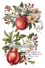 Load image into Gallery viewer, Clementine (8 pages) - IOD Transfer Pad

