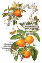 Load image into Gallery viewer, Clementine (8 pages) - IOD Transfer Pad

