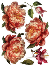 Load image into Gallery viewer, COLLAGE DE FLEURS (8 pages) - IOD Transfer Pad
