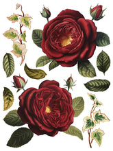 Load image into Gallery viewer, COLLAGE DE FLEURS (8 pages) - IOD Transfer Pad
