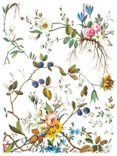 Load image into Gallery viewer, LOST GARDEN (8 pages) - IOD Transfer Pad
