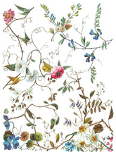 Load image into Gallery viewer, LOST GARDEN (8 pages) - IOD Transfer Pad
