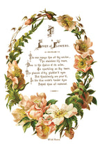 Load image into Gallery viewer, LOVER OF FLOWERS (8 pages) - IOD Transfer Pad
