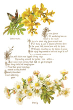 Load image into Gallery viewer, LOVER OF FLOWERS (8 pages) - IOD Transfer Pad
