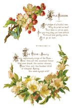 Load image into Gallery viewer, LOVER OF FLOWERS (8 pages) - IOD Transfer Pad
