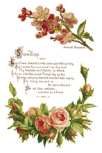 Load image into Gallery viewer, LOVER OF FLOWERS (8 pages) - IOD Transfer Pad
