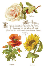 Load image into Gallery viewer, LOVER OF FLOWERS (8 pages) - IOD Transfer Pad
