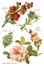 Load image into Gallery viewer, LOVER OF FLOWERS (8 pages) - IOD Transfer Pad
