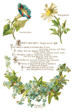 Load image into Gallery viewer, LOVER OF FLOWERS (8 pages) - IOD Transfer Pad
