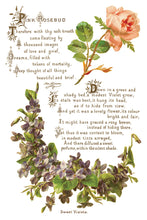 Load image into Gallery viewer, LOVER OF FLOWERS (8 pages) - IOD Transfer Pad
