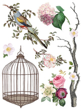 Load image into Gallery viewer, MENAGERIE (8 pages, 12x16&quot;) - IOD Transfer Pad
