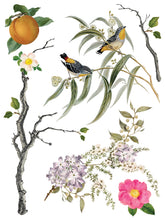 Load image into Gallery viewer, MENAGERIE (8 pages, 12x16&quot;) - IOD Transfer Pad
