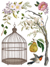 Load image into Gallery viewer, MENAGERIE (8 pages, 12x16&quot;) - IOD Transfer Pad
