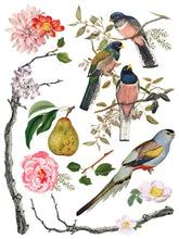 Load image into Gallery viewer, MENAGERIE (8 pages, 12x16&quot;) - IOD Transfer Pad
