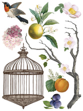 Load image into Gallery viewer, MENAGERIE (8 pages, 12x16&quot;) - IOD Transfer Pad
