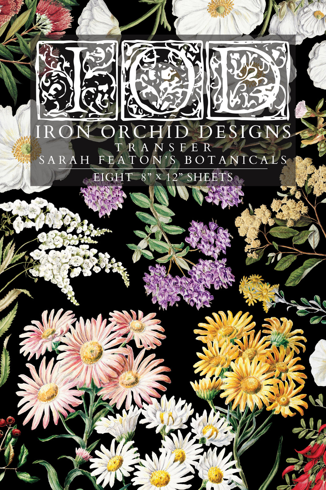 SARAH FEATON'S BOTANICALS (8 pages, 8X12