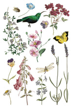 Load image into Gallery viewer, WILDE BLOEMEN (8 pages) - IOD Transfer Pad
