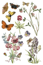 Load image into Gallery viewer, WILDE BLOEMEN (8 pages) - IOD Transfer Pad
