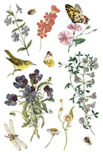 Load image into Gallery viewer, WILDE BLOEMEN (8 pages) - IOD Transfer Pad
