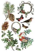 Load image into Gallery viewer, Winter Botanist (8 pages) - IOD Transfer Pad
