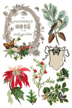 Load image into Gallery viewer, Winter Botanist (8 pages) - IOD Transfer Pad
