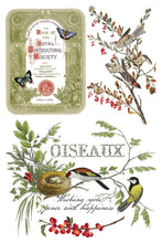 Load image into Gallery viewer, Winter Botanist (8 pages) - IOD Transfer Pad
