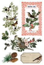 Load image into Gallery viewer, Winter Botanist (8 pages) - IOD Transfer Pad
