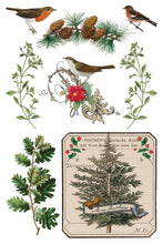 Load image into Gallery viewer, Winter Botanist (8 pages) - IOD Transfer Pad
