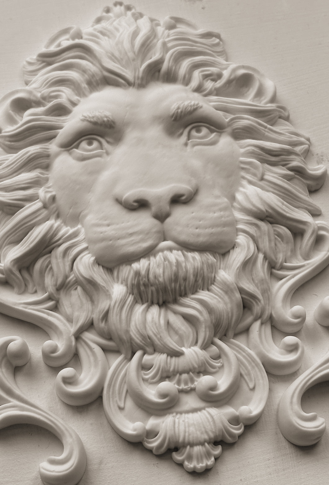 LEONADIS (5x7