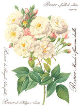 Load image into Gallery viewer, Rose Botanical (8 pages) - IOD Transfer Pad
