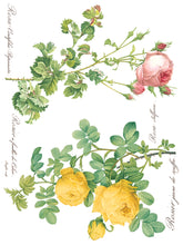 Load image into Gallery viewer, Rose Botanical (8 pages) - IOD Transfer Pad
