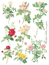 Load image into Gallery viewer, Rose Botanical (8 pages) - IOD Transfer Pad
