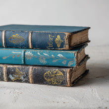 Load image into Gallery viewer, ATHENAEUM - (8 gold &amp; silver foil pages, 8"x12")  - IOD Transfer Pad
